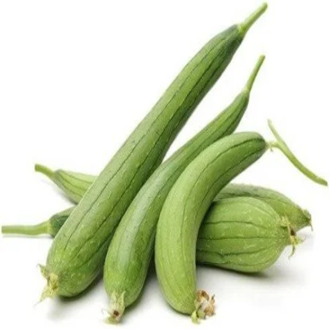 Wholesale Sponge Gourd Saudi Arabia